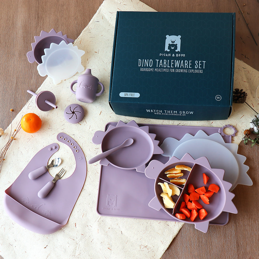 Dinosaur Tableware Weaning Set