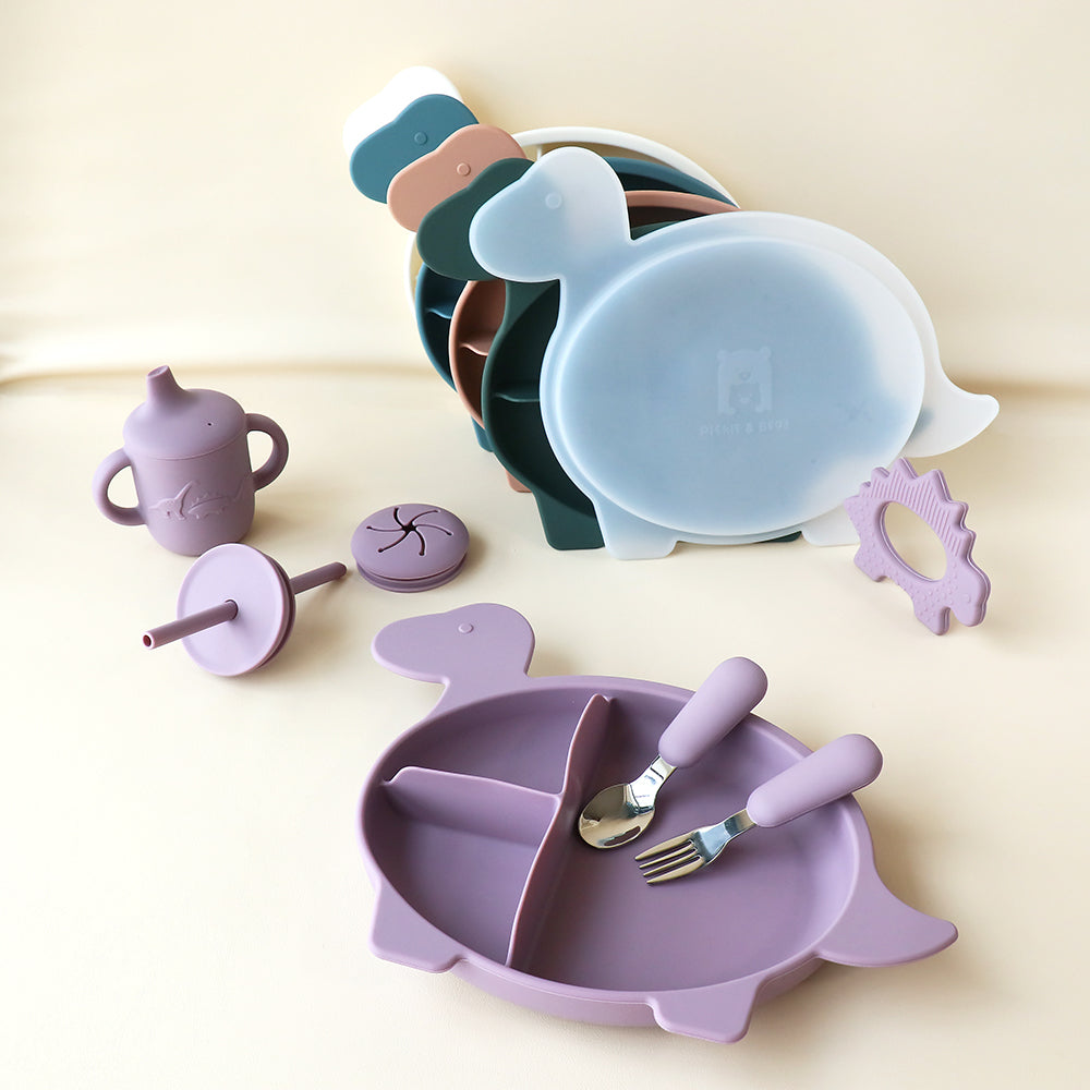 Placa de sección de Diplodocus con tapa