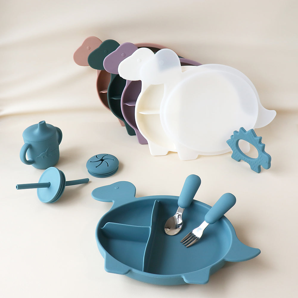 Placa de sección de Diplodocus con tapa