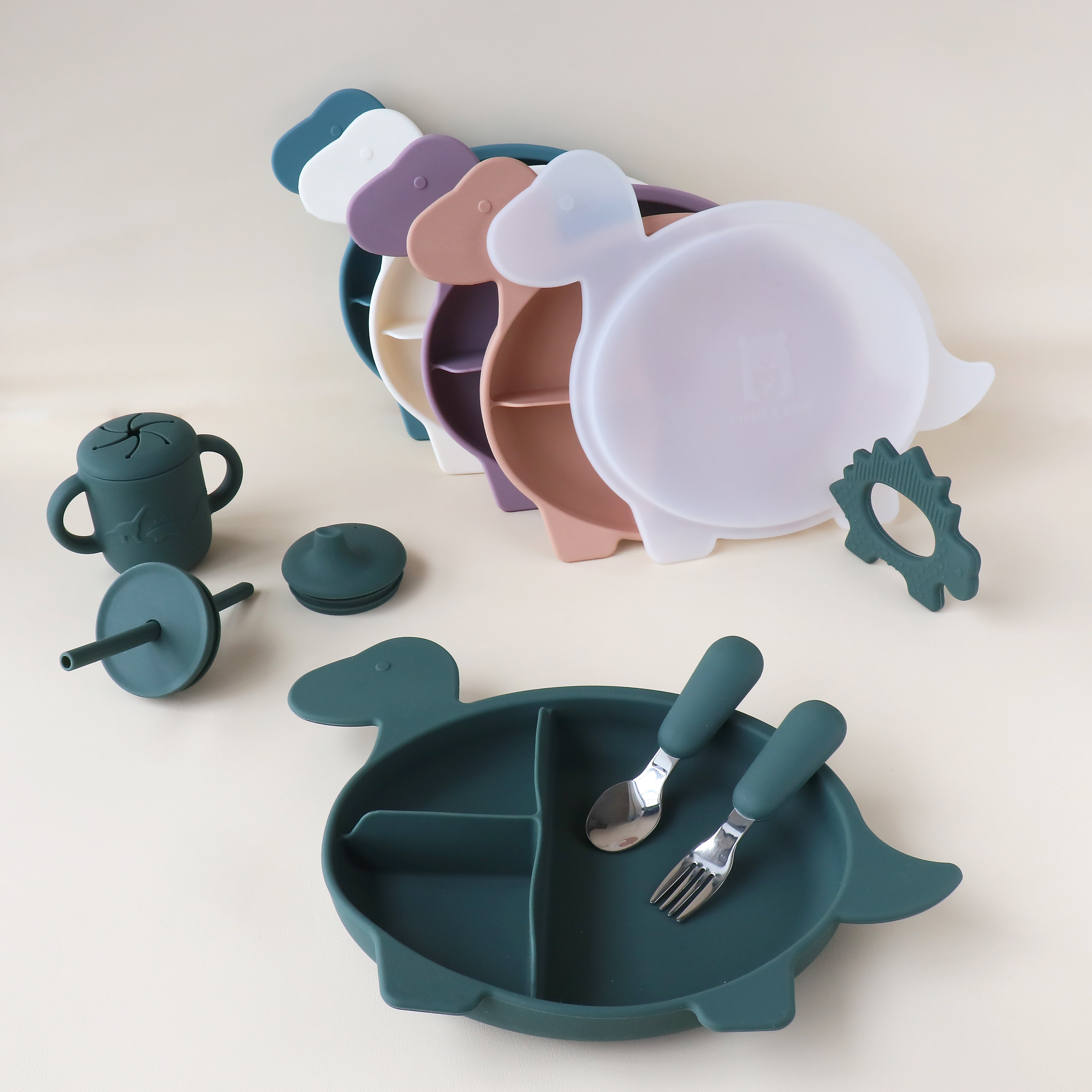 Placa de sección de Diplodocus con tapa