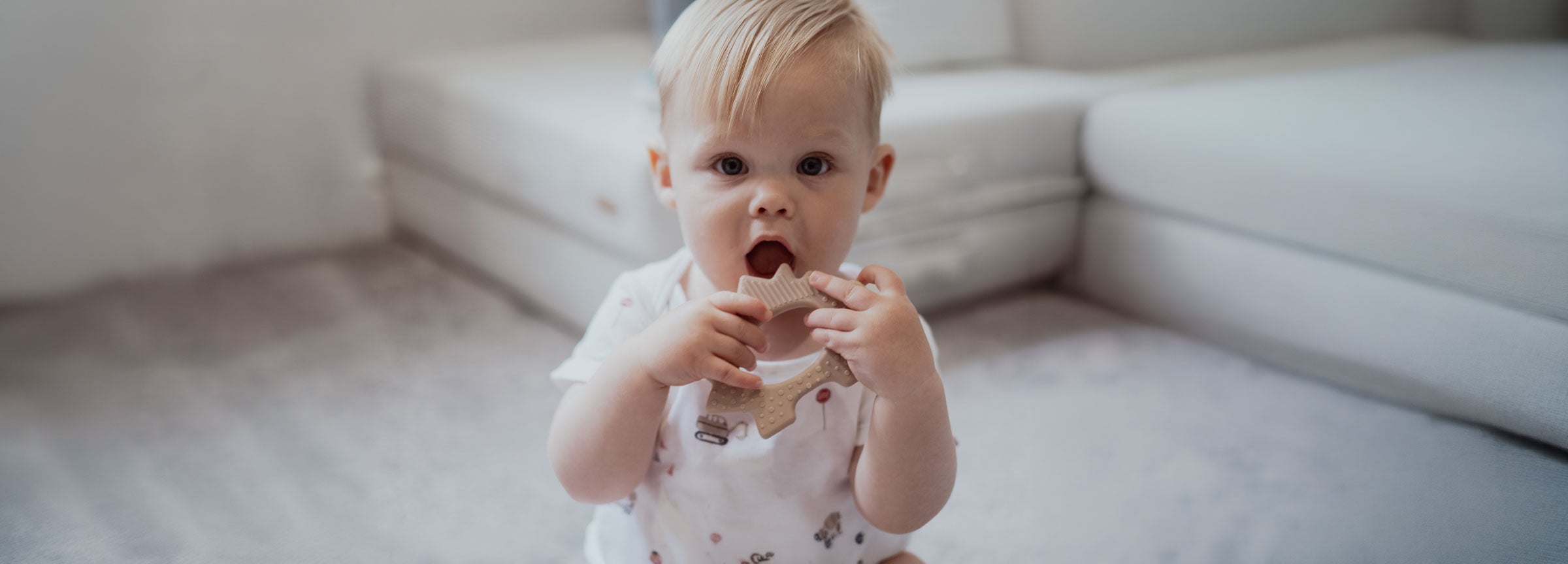 Dinosaur Teething Toy