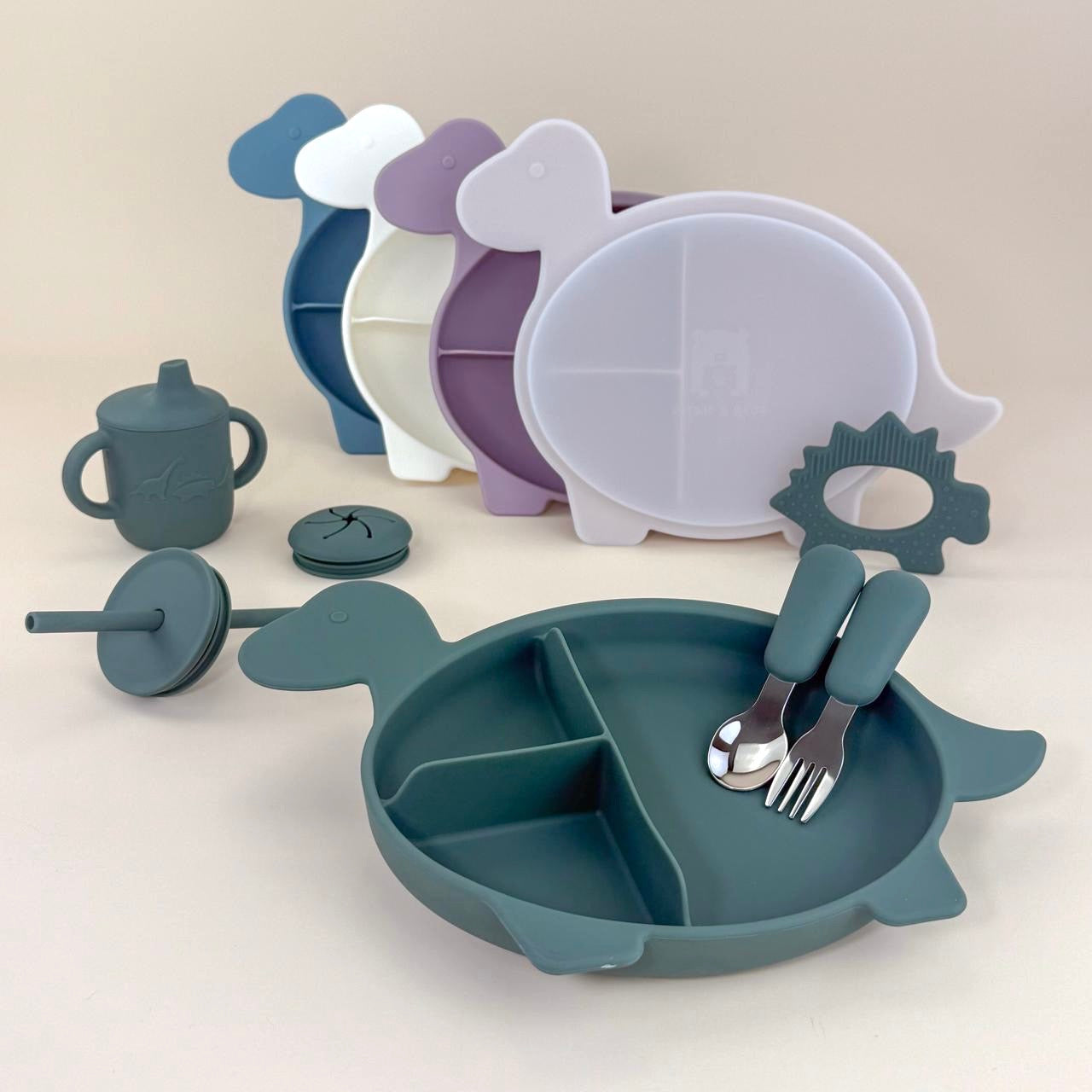 Diplodocus Section Plate with Lid