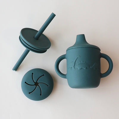 Sippy Cup with 3 Lids