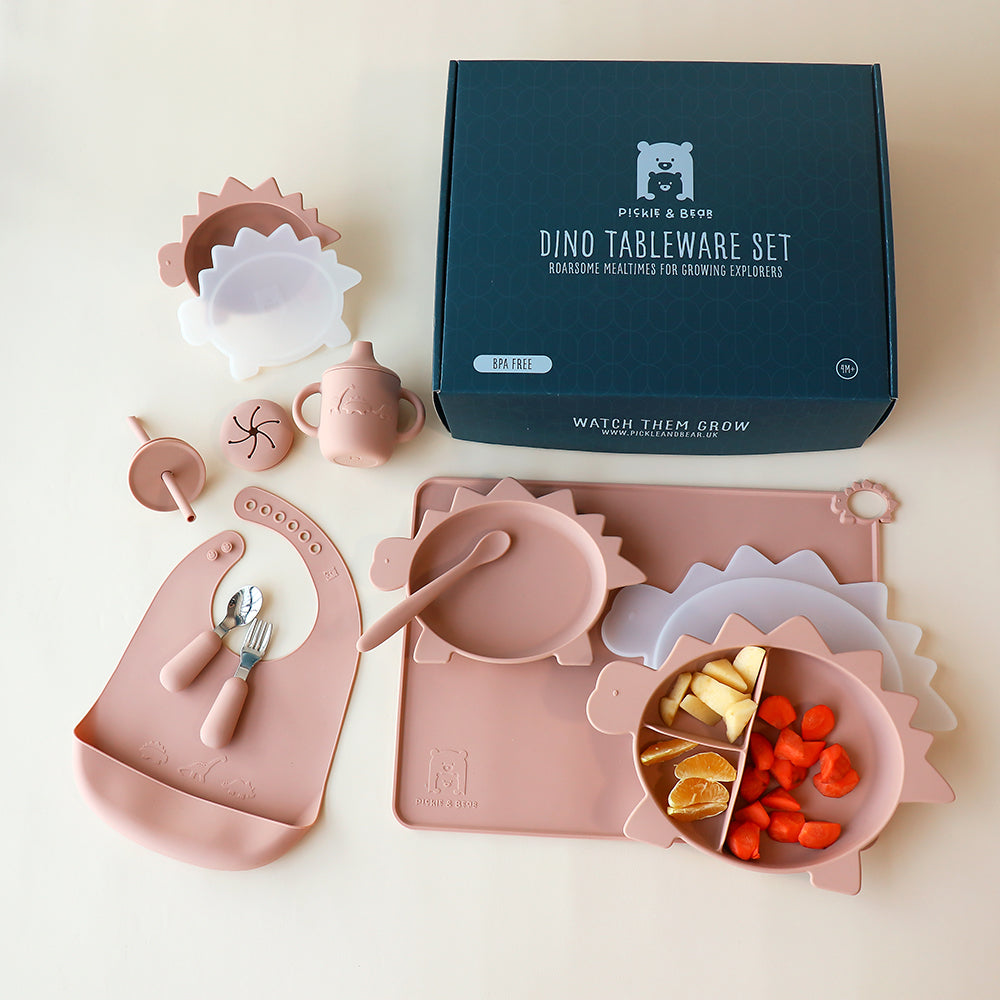 Dinosaur Tableware Weaning Set