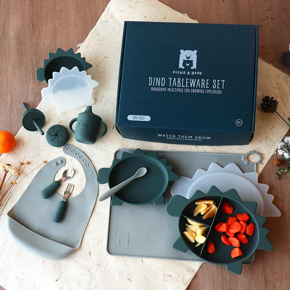 Dinosaur Tableware Weaning Set
