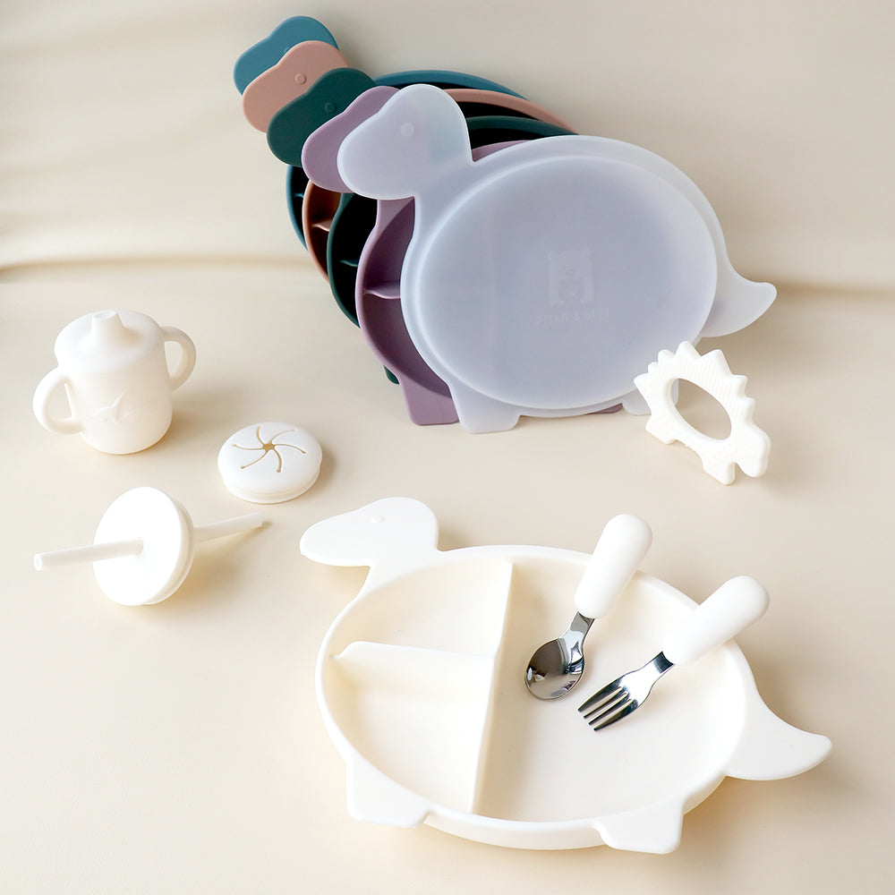 Placa de sección de Diplodocus con tapa