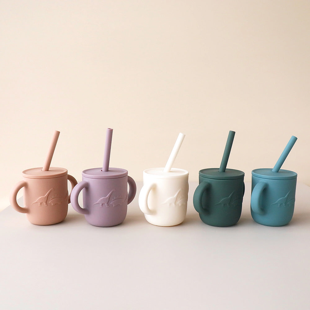 sippy cup straw lid
